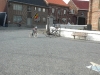 dscn9868_0